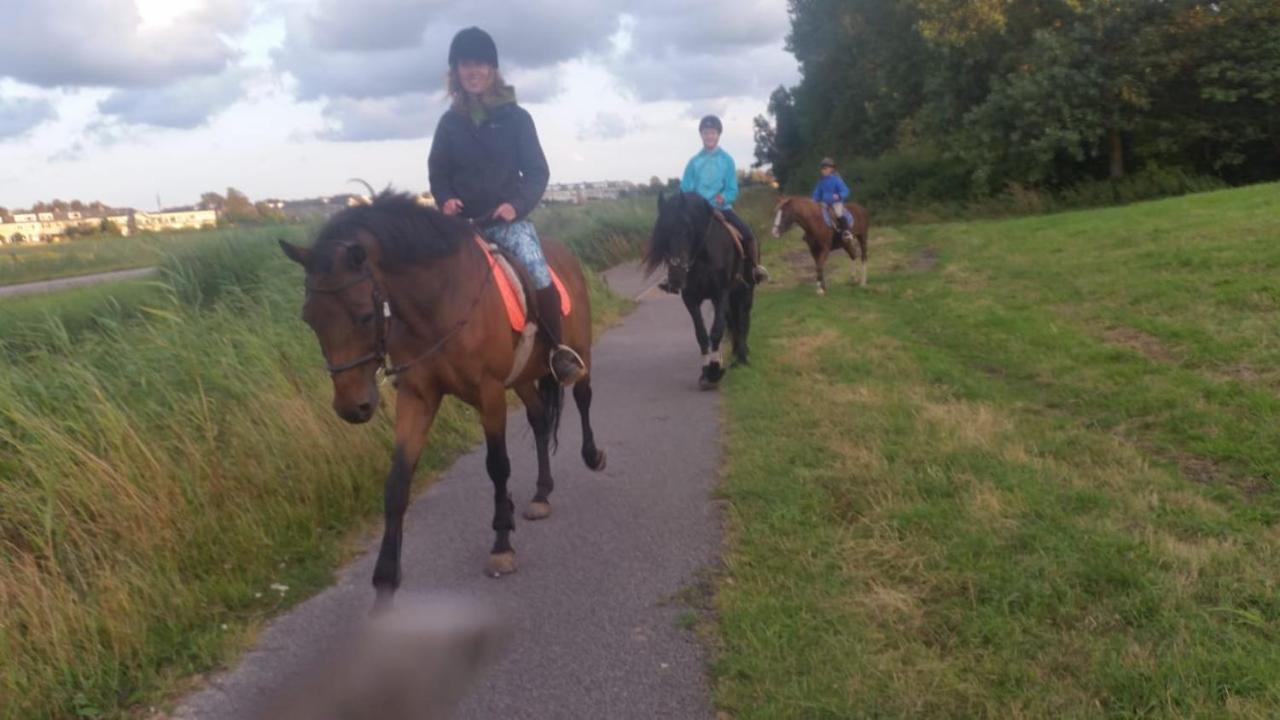 B&B Boerderij Rust, In Pipowagens! Den Helder Exteriör bild