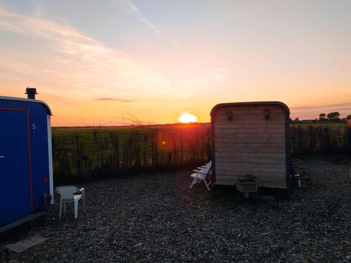 B&B Boerderij Rust, In Pipowagens! Den Helder Exteriör bild